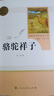 骆驼祥子人教版名著阅读课程化丛书 初中语文教科书配套书目 七年级下册 实拍图