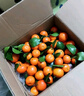 尔蝶广西砂糖橘桔子蜜橘10斤新鲜水果当季薄皮沙糖桔整箱橘子 精选5斤装 净重4.5斤 实拍图
