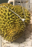 京鲜生 进口金枕头榴莲 净重6-7斤 1个装  鲜果 生鲜 新鲜水果 实拍图