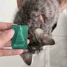 修灭盾猫咪体内外驱虫跳蚤虱子驱虫宠物驱虫滴剂打虫蜱虫药内外同驱 实拍图