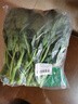 京鲜生 新鲜芥蓝 芥兰 湖南出品  600g 简装 新鲜蔬菜  实拍图