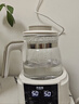 贝因美（Beingmate）恒温水壶 恒温壶婴儿调奶器温热暖奶器家用冲奶粉电热烧水养生壶 实拍图