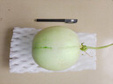 新鲜头茬香甜冰激淋玉菇甜瓜当季新鲜水果 美味可口1.5-2斤装 实拍图