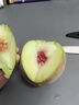 山东青州蜜桃新鲜当季水果现摘冬桃脆甜离核毛桃青皮桃子-鲜集 青州蜜桃2粒尝鲜装 实拍图