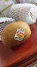 佳沛（zespri）新西兰  阳光金奇异果16粒礼盒经典果单果约 77-103g 水果 猕猴桃 实拍图