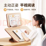 小天未来【全网低价】小天学绘台双层阅读支架儿童读书看书多功能写字板可升降学生桌面坐姿矫正阅读架 实拍图
