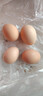 芮瑞 农家散养新鲜现捡鸡蛋笨鸡蛋谷物柴鸡蛋初生蛋 单枚40±5g 4枚装 实拍图