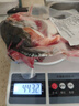 纯尔冷冻去腮三文鱼鱼头 大西洋鲑鱼 净重350-450g*3个 源头直发 实拍图