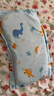 水星儿童（MERCURY Kids）幼儿园全棉抗菌对枕套(湖水绿/远古龙)30cm×50cm 婴幼儿A类 实拍图
