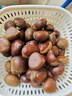 【东东农场专供】25年丹东新板栗生板栗炒菜专用新鲜蔬菜生鲜 25年新下树 2斤 送栗爪 实拍图