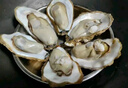 乳山牡蛎 鲜活乳山生蚝5XL 净重5斤 9-10只 生鲜海鲜 源头直发 烧烤食材 实拍图