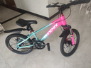 凤凰山地自行车男女变速山地车碟刹青少年儿童自行车学生单车 星际 蓝玫【单速+辐条轮】 18寸【适合120-155cm】 实拍图