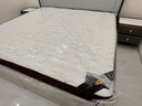 香榭柏兰 椰棕床垫棕垫硬棕榈床垫子 天然乳胶榻榻米床垫定做定制 15CM厚（防螨面料+10CM椰棕+2CM乳胶） 2米*2米 实拍图