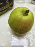 京鲜生 新疆库尔勒香梨 净重5斤 一级 单果100g-120g  生鲜水果 实拍图