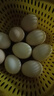 谷物鲜鸡蛋 农户散养新鲜鸡蛋 单枚40g±5 10枚（40克/枚） 实拍图