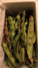 京鲜生山东新鲜油豆角1.8斤装新鲜蔬菜源头直发包邮 实拍图