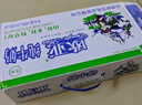 欧亚【新鲜日期】纯牛奶200g*20盒整箱  云南大理高原牧场  实拍图