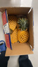 海南金钻凤梨新鲜10斤正宗菠萝整箱新鲜水果风梨当季香水菠萝特产 净重8.5~9斤 实拍图