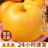 梓颐山东莱阳秋月梨新鲜当季冰糖甜雪梨蜜梨子千玥膏梨水果中秋送礼盒 5斤精选商超特级果7-9枚净4.5斤 实拍图