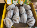 佳沛（zespri）新西兰  阳光金奇异果10粒礼盒巨大果单果约144-175g 水果 猕猴桃 实拍图