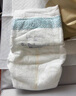 babycare金山茶花婴儿拉拉裤mini装XL码18片(12-17kg)尿不湿【新老混发】 实拍图
