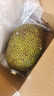 京鲜生越南进口菠萝蜜一整个净重10-12斤新鲜水果源头直发一件包邮 实拍图
