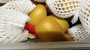 佳沛（zespri）新西兰  阳光金奇异果10粒礼盒巨大果单果约144-175g 水果 猕猴桃 实拍图