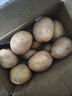 新鲜土豆现挖现发山东正宗黄心黄肉当季蔬菜马铃薯洋芋薯条3两起 山东土豆带箱4斤 中大果 实拍图