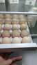 九華粮品散养土鸡蛋40枚 净重3斤 农家柴鸡蛋 笨鸡蛋 月子蛋 实拍图