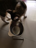 HELLOJOY猫碗狗碗304不锈钢猫食盆防打翻猫咪喝水碗保护颈椎增高宠物饭碗 实拍图