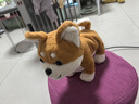 babycare走路学舌智能儿童玩具节日生日礼物送礼仿真声控毛绒狗柴犬 实拍图