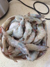 往牧 虾 南美白虾盐冻大虾活冻基围虾 生鲜对虾海虾 虾类 海鲜水产 17-19cm超大号大虾 4斤(净重) 实拍图