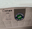 喜临门城市爱情大白垫 乳胶椰棕床垫 独袋弹簧 海绵垫子床架软硬两用 乳胶+独袋+椰棕(厚21cm) 1.8*2米 实拍图