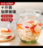拜杰咸菜罐泡菜坛子玻璃瓶密封罐泡酒容器酵素桶储存罐腌菜罐10斤 实拍图
