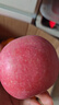 佳农 烟台红富士苹果 净重10斤大果 果径85mm+ 生鲜水果礼盒 实拍图