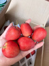映棠 东北鸡心果5斤【顺丰快递—多地次日达】海棠果玫瑰小苹果礼盒装 3斤大果【人工精选】 现摘现发 实拍图