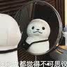 概率论与数理统计同步辅导与习题全解（高教社·龙永红·第三版） 实拍图