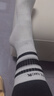 俞兆林5双袜子女士中筒袜条纹高帮长筒袜春夏季运动ins潮袜外穿配鲨鱼裤 实拍图