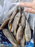 卖鱼七郎 去腮去内脏冷冻小黄鱼黄花鱼2.4斤烧烤食材生鲜鱼类海鲜水产 实拍图
