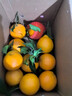 京鲜生 四川爱媛38号果冻橙4.5-5斤 单果70mm+ 新鲜带叶 源头直发包邮 实拍图