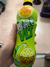 维他奶维他鸭屎香柠檬茶500ml*15瓶 整箱装 家庭聚会分享装 日期5月特价 实拍图