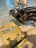 好主人成猫猫粮全价成猫天然粮通用鸡肉味猫粮2.5kg*3 实拍图