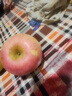 京鲜生山东烟台红富士苹果 5斤装单果75-80mm生鲜水果 源头直发 包邮 实拍图
