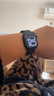 Apple/苹果 Watch Series 10 智能手表GPS款42毫米亮黑色铝金属表壳黑色运动型表带M/L MX1P3CH/B 实拍图