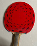 红双喜黏性反胶G666乒乓套胶 初学进阶乒乓球拍胶皮 G666套胶红色1片(性能全面) 实拍图