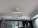 米家（MIJIA）小米米家风扇灯吊扇灯隐形卧室42英寸全光谱Ra97灯具【包安装】 实拍图
