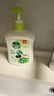 滴露（Dettol）洗手液茉莉绿茶清香500g*2 儿童洗手液家庭抑菌消毒 迪士尼 实拍图