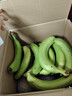 单根蕉广西新鲜本地蕉土香蕉单根香蕉新鲜水果单个发货净重纯甜 单根香蕉青蕉发货 净重 3斤 实拍图