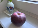 京鲜生 天水花牛苹果 净重4.5斤 单果 260g+ 生鲜水果源头直发 实拍图
