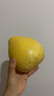 福建平和老树红柚 新鲜现摘 皮薄肉厚多汁 蜜柚柚子 1-1.5斤（尝鲜） 实拍图